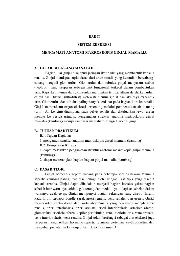 Unduh 400 Gambar Ginjal Kambing Terbaik Gratis HD