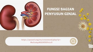 https://puzzel.org/en/crossword/play?p=-
MuCuAqaM2G85EFvLclI
FUNGSI BAGIAN
PENYUSUN GINJAL
 