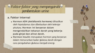 Faktor-faktor yang mempengaruhi
pembentukan urine
a. Faktor internal
Hormon ADH (Antidiuretic hormone) dihasilkan
oleh hipotalamus dan dibebaskan oleh kelenjar
pituitary. Hormon ini berperan dalam
mengendalikan tekanan darah yang bekerja
pada ginjal dan aliran darah.
Hormon Insulin merupakan hormon yang berperan
dalam menurunkan kadar glukosa darah dengan
cara pengubahan glukosa menjadi energi.
 