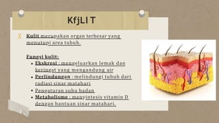Kulit merupakan organ terbesar yang
menutupi area tubuh.
Fungsi kulit:
Ekskresi : mengeluarkan lemak dan
keringat yang mengandung air
Perlindungan : melindungi tubuh dari
radiasi sinar matahari
Pengaturan suhu badan
Metabolisme : menyintesis vitamin D
dengan bantuan sinar matahari.
KfjLI T
 