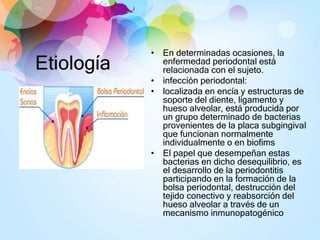Etiología
• En determinadas ocasiones, la
enfermedad periodontal está
relacionada con el sujeto.
• infección periodontal:
• localizada en encía y estructuras de
soporte del diente, ligamento y
hueso alveolar, está producida por
un grupo determinado de bacterias
provenientes de la placa subgingival
que funcionan normalmente
individualmente o en biofims
• El papel que desempeñan estas
bacterias en dicho desequilibrio, es
el desarrollo de la periodontitis
participando en la formación de la
bolsa periodontal, destrucción del
tejido conectivo y reabsorción del
hueso alveolar a través de un
mecanismo inmunopatogénico
 