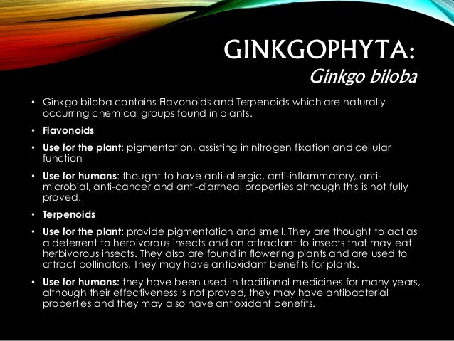 gymnosperms ginkgophyta by al
