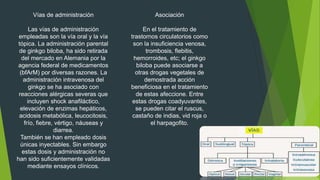 Vías de administración
Las vías de administración
empleadas son la vía oral y la vía
tópica. La administración parental
de ginkgo biloba, ha sido retirada
del mercado en Alemania por la
agencia federal de medicamentos
(bfArM) por diversas razones. La
administración intravenosa del
ginkgo se ha asociado con
reacciones alérgicas severas que
incluyen shock anafiláctico,
elevación de enzimas hepáticos,
acidosis metabólica, leucocitosis,
frío, fiebre, vértigo, náuseas y
diarrea.
También se han empleado dosis
únicas inyectables. Sin embargo
estas dosis y administración no
han sido suficientemente validadas
mediante ensayos clínicos.
Asociación
En el tratamiento de
trastornos circulatorios como
son la insuficiencia venosa,
trombosis, flebitis,
hemorroides, etc; el ginkgo
biloba puede asociarse a
otras drogas vegetales de
demostrada acción
beneficiosa en el tratamiento
de estas afeccione. Entre
estas drogas coadyuvantes,
se pueden citar el ruscus,
castaño de indias, vid roja o
el harpagofito.
 