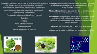 Polifenoles, sobre todo flavonoides, en una cantidad de alrededor
0.5%: biflavonas3’, 8 (bilobetol, ginkgetol, siadoptisina,
amentoflavona, isoginkgetol), querce-trósido, miricetrósido.
Flavonoles libres: quercetol, kaempferol, isorhamnetol y
heterósidos de los flavonoles.
Procianidoles: oligómeros del definidol y cianidol.
Esteroles
Polioles
Ácido 6-hidroxikinurénico
Taninos catéquicos
Resina, aceite esencial y lípidos
Polifenoles son un grupo de sustancias químicas encontradas
en plantas caracterizadas por la presencia de más de un
grupo fenol por molécula.
Flavonoide es el término genérico con que se identifica a una
serie de metabolitos secundarios de las plantas.
Procianidoles: son principios activos de los vegetales que han
demostrado tener potentes propiedades en cuanto a su
capacidad de brindar beneficios a la salud y contribuir como
recurso antiaging.
Esteroles son esteroides con 27 a 29 átomos de carbono
polioles son alcoholes polihídricos con varios grupos hidroxilo.
 