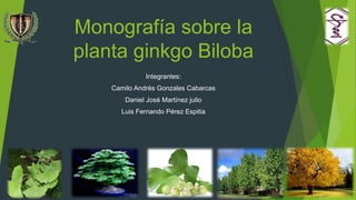 Monografía sobre la
planta ginkgo Biloba
Integrantes:
Camilo Andrés Gonzales Cabarcas
Daniel José Martínez julio
Luis Fernando Pérez Espitia
 