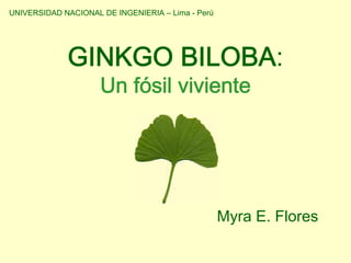 UNIVERSIDAD NACIONAL DE INGENIERIA – Lima - Perú




             GINKGO BILOBA:
                     Un fósil viviente




                                                   Myra E. Flores
 