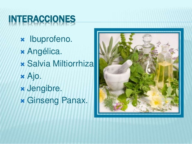Ginkgo biloba de Alfavitamins. Representante en Bolivia Ginkgo biloba de Alfavitamins. Representante en Bolivia