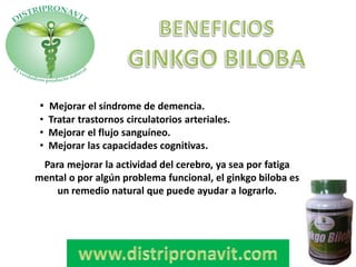 • Mejorar el síndrome de demencia.
• Tratar trastornos circulatorios arteriales.
• Mejorar el flujo sanguíneo.
• Mejorar las capacidades cognitivas.
Para mejorar la actividad del cerebro, ya sea por fatiga
mental o por algún problema funcional, el ginkgo biloba es
un remedio natural que puede ayudar a lograrlo.
 
