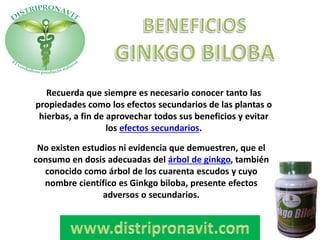 Recuerda que siempre es necesario conocer tanto las
propiedades como los efectos secundarios de las plantas o
hierbas, a fin de aprovechar todos sus beneficios y evitar
los efectos secundarios.
No existen estudios ni evidencia que demuestren, que el
consumo en dosis adecuadas del árbol de ginkgo, también
conocido como árbol de los cuarenta escudos y cuyo
nombre científico es Ginkgo biloba, presente efectos
adversos o secundarios.
 