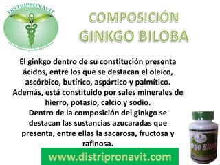 El ginkgo dentro de su constitución presenta
ácidos, entre los que se destacan el oleico,
ascórbico, butírico, aspártico y palmítico.
Además, está constituido por sales minerales de
hierro, potasio, calcio y sodio.
Dentro de la composición del ginkgo se
destacan las sustancias azucaradas que
presenta, entre ellas la sacarosa, fructosa y
rafinosa.
 