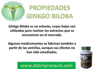 Ginkgo Biloba es un arbusto, cuyas hojas son
utilizadas para realizar los extractos que se
encuentran en el mercado.
Algunos medicamentos se fabrican también a
partir de las semillas, aunque sus efectos no
han sido estudiados.
 