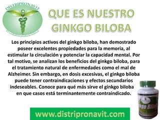 Los principios activos del ginkgo biloba, han demostrado
poseer excelentes propiedades para la memoria, al
estimular la circulación y potenciar la capacidad mental. Por
tal motivo, se analizan los beneficios del ginkgo biloba, para
el tratamiento natural de enfermedades como el mal de
Alzheimer. Sin embargo, en dosis excesivas, el ginkgo biloba
puede tener contraindicaciones y efectos secundarios
indeseables. Conoce para qué más sirve el ginkgo biloba y
en que casos está terminantemente contraindicado.
 