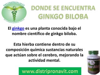 El ginkgo es una planta conocida bajo el
nombre científico de ginkgo biloba.
Esta hierba contiene dentro de su
composición química sustancias naturales
que actúan sobre el cerebro, mejorando la
actividad mental.
 