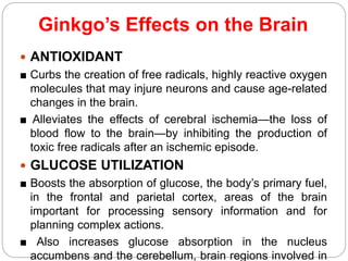 Ginkgo’s Effects on the Brain
 ANTIOXIDANT
■ Curbs the creation of free radicals, highly reactive oxygen
molecules that may injure neurons and cause age-related
changes in the brain.
■ Alleviates the effects of cerebral ischemia—the loss of
blood flow to the brain—by inhibiting the production of
toxic free radicals after an ischemic episode.
 GLUCOSE UTILIZATION
■ Boosts the absorption of glucose, the body’s primary fuel,
in the frontal and parietal cortex, areas of the brain
important for processing sensory information and for
planning complex actions.
■ Also increases glucose absorption in the nucleus
accumbens and the cerebellum, brain regions involved in
 