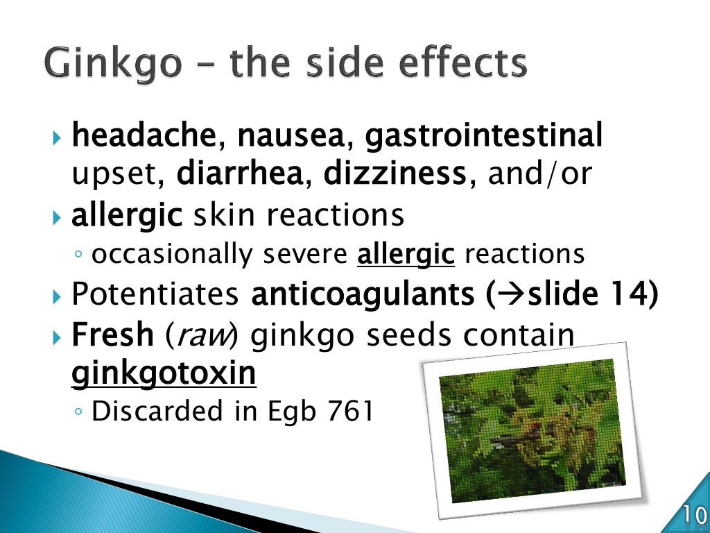 Ginkgo biloba bioactive ingredients