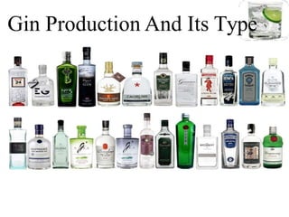 Gin Production And Its Type
 