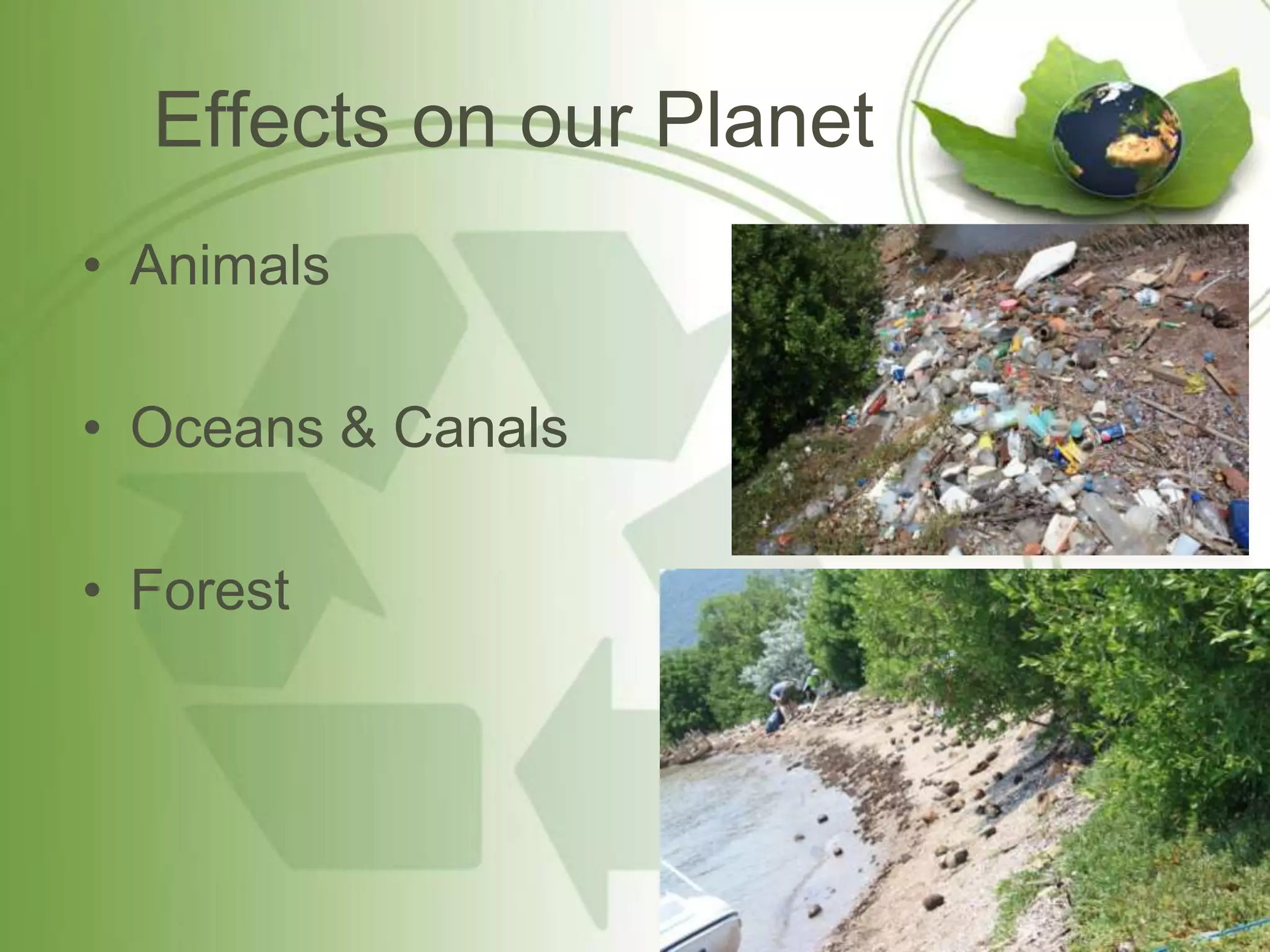 Effects on our Planet
• Animals

• Oceans & Canals

• Forest
 