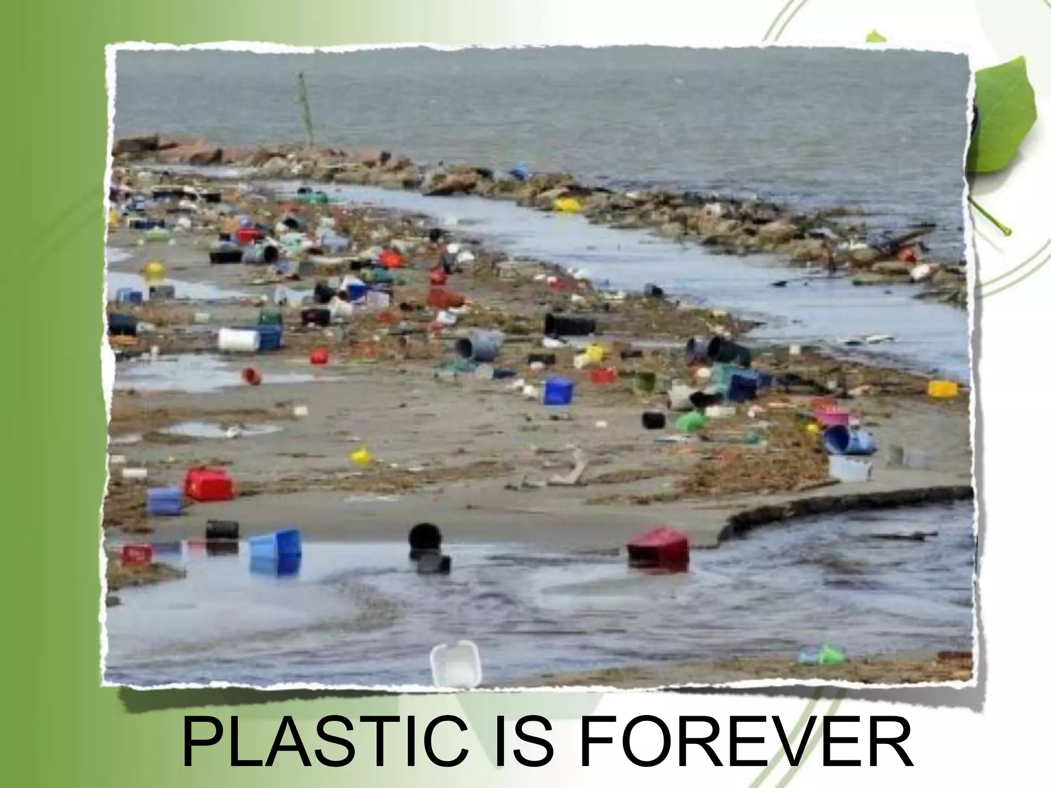 PLASTIC IS FOREVER
 