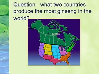 Question - what two countries produce the most ginseng in the world?   