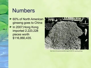 Numbers 60% of North American ginseng goes to China  In 2007,Hong Kong imported 2,223,228 pieces worth $116,860,435. http://www.nwf.org/nationalwildlife/images/012007/WV_ginseng_pile.jpg 
