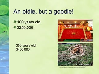 An oldie, but a goodie! 100 years old $250,000 300 years old $400,000 http://yeinjee.com/asianpop/wp-content/uploads/2007 