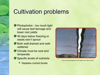 Cultivation problems Photophobic - too much light will cause leaf damage and lower root yields 40 days below freezing or seeds won’t sprout Both well-drained and well-wattered Climate must be cool and temperate Specific levels of nutrients Depletes nutrient levels   http://www.bcginsenggrowers.com/img/ginseng_shade_cloth.jpg 