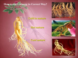 How to eat Ginseng in Correct Way?




                   Cold in nature


                     Hot nature



                     Cool nature
 