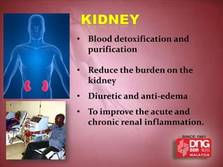 • Blood detoxification and
  purification

• Reduce the burden on the
  kidney
• Diuretic and anti-edema
• To improve the acute and
  chronic renal inflammation.
 