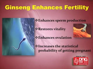 Ginseng Enhances Fertility

         Enhances sperm production

         Restores vitality

         Enhances ovulation

         Increases the statistical
          probability of getting pregnant
 