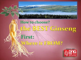 How to choose?
the BEST Ginseng
First:
Where it FROM?
 