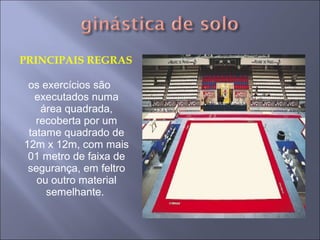 PRINCIPAIS REGRAS
os exercícios são
executados numa
área quadrada,
recoberta por um
tatame quadrado de
12m x 12m, com mais
01 metro de faixa de
segurança, em feltro
ou outro material
semelhante.
 