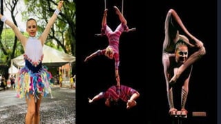 As performances no trapézio constituem há séculos uma das
maiores atrações da linguagem artística do circo. O trapézio fix...