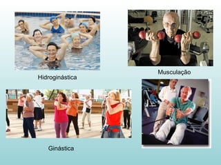 Hidroginástica Musculação Ginástica 