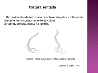 Postura sentada

  Os movimentos de retroversão e anteversão pélvica influenciam
diretamente no comportamento da coluna
vertebral, principalmente na lombar.




                 Figura 02 – Perca da curvatura lombar na posição sentada


                                                      Anderson & Chafin (1984)
 