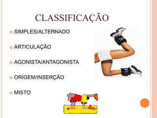 CLASSIFICAÇÃO
 SIMPLES/ALTERNADO
 ARTICULAÇÃO
 AGONISTA/ANTAGONISTA
 ORIGEM/INSERÇÃO
 MISTO
 