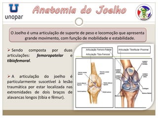 O Joelho é uma articulação de suporte de peso e locomoção que apresenta
grande movimento, com função de mobilidade e estabilidade.
 Sendo composta por duas
articulações: femoropatelar e
tibiofemoral.
 A articulação do joelho é
particularmente suscetível à lesão
traumática por estar localizada nas
extremidades de dois braços de
alavancas longos (tíbia e fêmur).
 