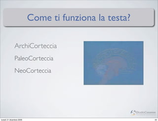 Come ti funziona la testa?

              ArchiCorteccia
              PaleoCorteccia
              NeoCorteccia




                                                       StudioCassese
                                                       Formazione&Comunicazione


lunedì 21 dicembre 2009                                                      44
 