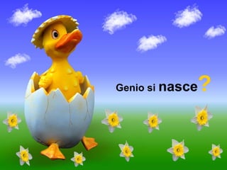 Genio si  nasce ? 