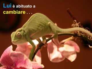 Lui  è abituato a  cambiare  . . . 