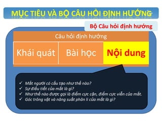 MỤC TIÊU VÀ BỘ CÂU HỎI ĐỊNH HƯỚNG
Bộ Câu hỏi định hướng
Câu hỏi định hướng

Khái quát





Bài học

Nội dung

Mắt người có cấu tạo như thế nào?
Sự điều tiết của mắt là gì?
Như thế nào được gọi là điểm cực cận, điểm cực viễn của mắt.
Góc trông vật và năng suất phân li của mắt là gì?

 