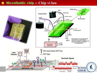 Microfluidic chip – Chip vi lưu
Truong DAI HOC KHOA HOC TU NHIEN TPHCM
U N I V E S I T Y O F S C I E N C E – V N U H C M
 