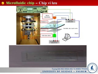Microfluidic chip – Chip vi lưu
Truong DAI HOC KHOA HOC TU NHIEN TPHCM
U N I V E S I T Y O F S C I E N C E – V N U H C M
 