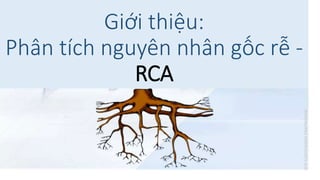 Giới thiệu:
Phân tích nguyên nhân gốc rễ -
RCA
 