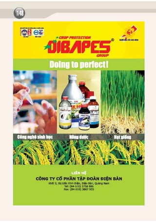 Gioi thieu thuong hieu