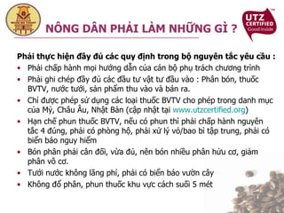 Phải thực hiện đầy đủ các quy định trong bộ nguyên tắc yêu cầu : Phải chấp hành mọi hướng dẫn của cán bộ phụ trách chương trình Phải ghi chép đầy đủ các đầu tư vật tư đầu vào : Phân bón, thuốc BVTV, nước tưới, sản phẩm thu vào và bán ra. Chỉ được phép sử dụng các loại thuốc BVTV cho phép trong danh mục của Mỷ, Châu Âu, Nhật Bản (cập nhật tại  www.utzcertified.org ) Hạn chế phun thuốc BVTV, nếu có phun thì phải chấp hành nguyên tắc 4 đúng, phải có phòng hộ, phải xử lý vỏ/bao bì tập trung, phải có biển báo nguy hiểm Bón phân phải cân đối, vừa đủ, nên bón nhiều phân hửu cơ, giảm phân vô cơ. Tưới nước không lãng phí, phải có biển báo vườn cây Không đổ phân, phun thuốc khu vực cách suối 5 mét NÔNG DÂN PHẢI LÀM NHỮNG GÌ ? 