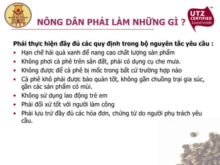 Phải thực hiện đầy đủ các quy định trong bộ nguyên tắc yêu cầu : Hạn chế hái quả xanh để nang cao chất lượng sản phẩm Không phơi cà phê trên sân đất, phải có dụng cụ che mưa. Không được để cà phê bị mốc trong bất cứ trường hợp nào Cà phê khô phải được bảo quản tốt, không gần chuồng trại gia súc, gần các sản phẩm có mùi. Không sử dụng lao động trẻ em Phải đối xử tốt với người làm công Phải lưu trử đầy đủ các hóa đơn, chứng từ do người phụ trách yêu cầu. NÔNG DÂN PHẢI LÀM NHỮNG GÌ ? 