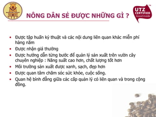 Được tập huấn kỷ thuật và các nội dung liên quan khác miễn phí hàng năm Được nhận giá thưởng Được hướng dẫn từng bước để quản lý sản xuất trên vườn cây chuyên nghiệp : Năng suất cao hơn, chất lượng tốt hơn Môi trường sản xuất được xanh, sạch, đẹp hơn Được quan tâm chăm sóc sức khỏe, cuộc sống. Quan hệ bình đẵng giữa các cấp quản lý có liên quan và trong cộng đồng. NÔNG DÂN SẺ ĐƯỢC NHỮNG GÌ ? 