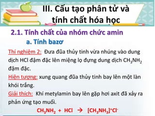 Thí nghiệm 2: Đưa đũa thủy tinh vừa nhúng vào dung
dịch HCl đậm đặc lên miệng lọ đựng dung dịch CH3NH2
đậm đặc.
Hiện tượng: xung quang đũa thủy tinh bay lên một làn
khói trắng.
Giải thích: Khí metylamin bay lên gặp hơi axit đã xảy ra
phản ứng tạo muối.
CH3NH2 + HCl  [CH3NH3]+Cl-
2.1. Tính chất của nhóm chức amin
a. Tính bazơ
III. Cấu tạo phân tử và
tính chất hóa học
 