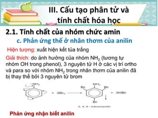 III. Cấu tạo phân tử và
tính chất hóa học
2.1. Tính chất của nhóm chức amin
c. Phản ứng thế ở nhân thơm của anilin
Hiện tượng: xuất hiện kết tủa trắng
Giải thích: do ảnh hưởng của nhóm NH2 (tương tự
nhóm OH trong phenol), 3 nguyên tử H ở các vị trí ortho
và para so với nhóm NH2 trong nhân thơm của anilin đã
bị thay thế bởi 3 nguyên tử brom
Phản ứng nhận biết anilin
 