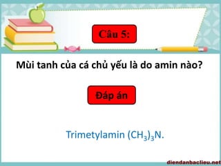 Đáp án
Trimetylamin (CH3)3N.
Câu 5:
Mùi tanh của cá chủ yếu là do amin nào?
 